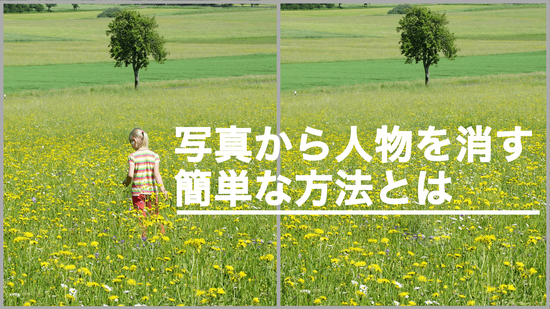 Photoshopで写真に映る人物を簡単に消す方法を解説します Element